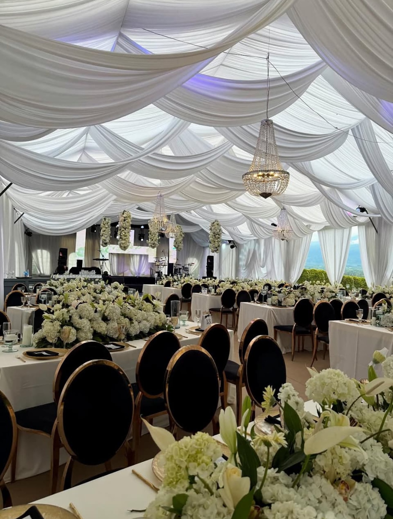 Draped white marquee with black and gold chairs and white floral centrepieces